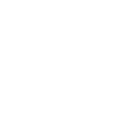 playvig